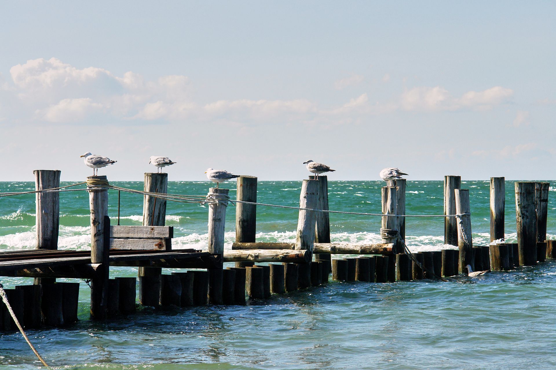 Zingst und Umgebung